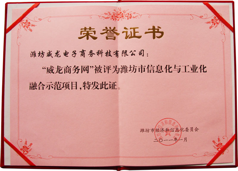 威龍公司喜獲濰坊市首批信息化與工業(yè)化融合優(yōu)秀服務(wù)機(jī)構(gòu)稱(chēng)號(hào)