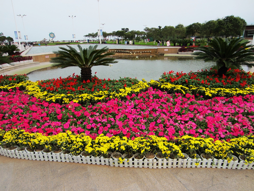 十一假期海邊、天馬島兩日游