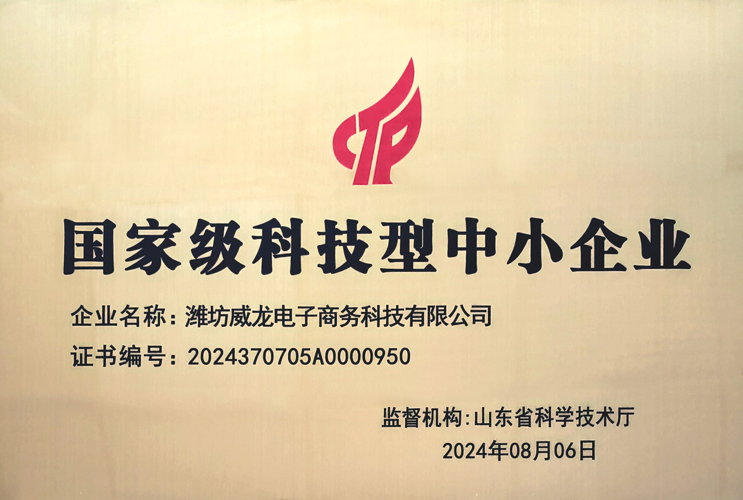 國家級科技型中小企業(yè)