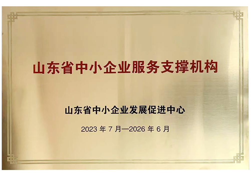 山東省中小企業(yè)服務支撐機構